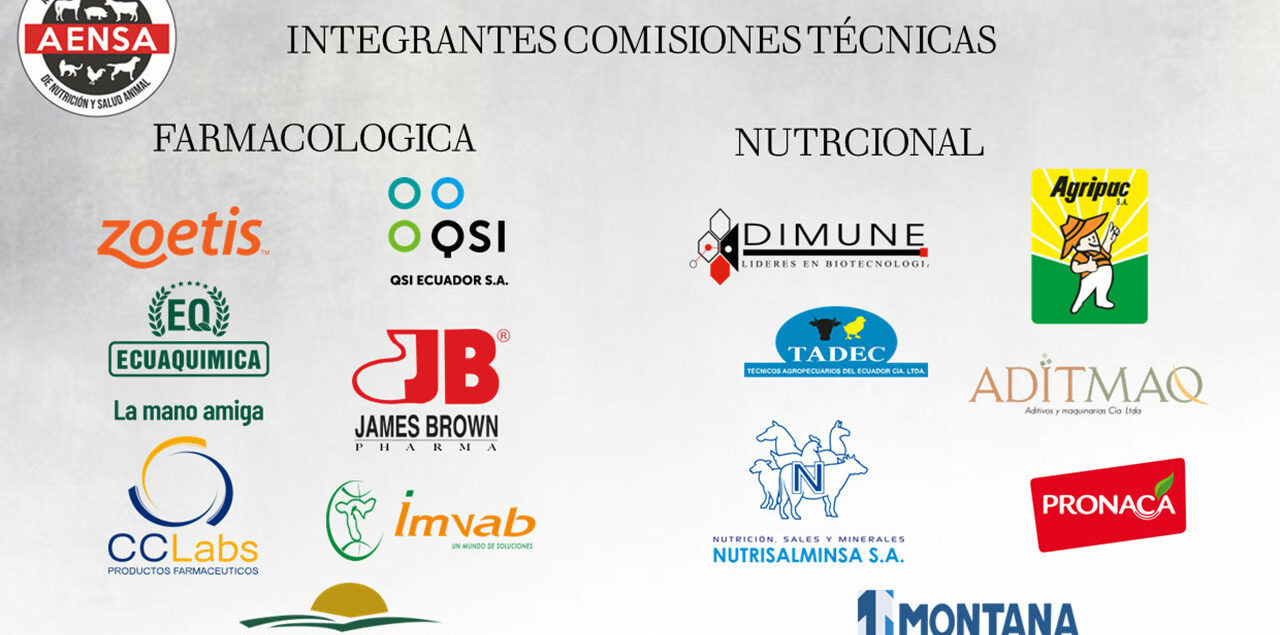 Gestión de Comisiones Técnicas