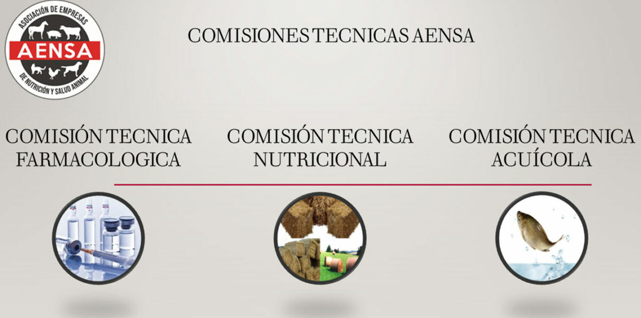 Comisiones Técnicas AENSA