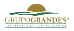 Grupo Grandes